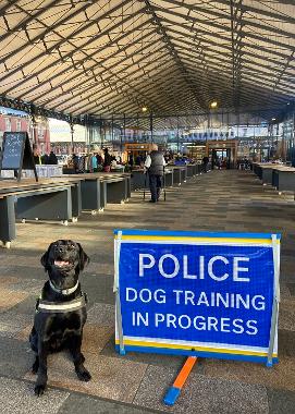 Zola next to 'Police Dog Training in Progress' sign