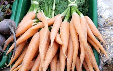 Bunch of carrots close up