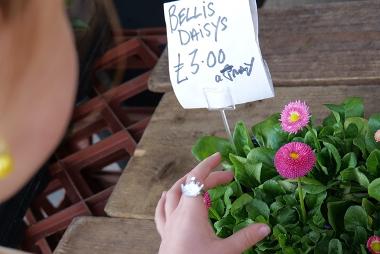 Close up of child looking at Bellis Daisys