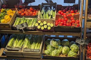 Vine tomatoes, spring onions, cucumber, peppers and lettuce